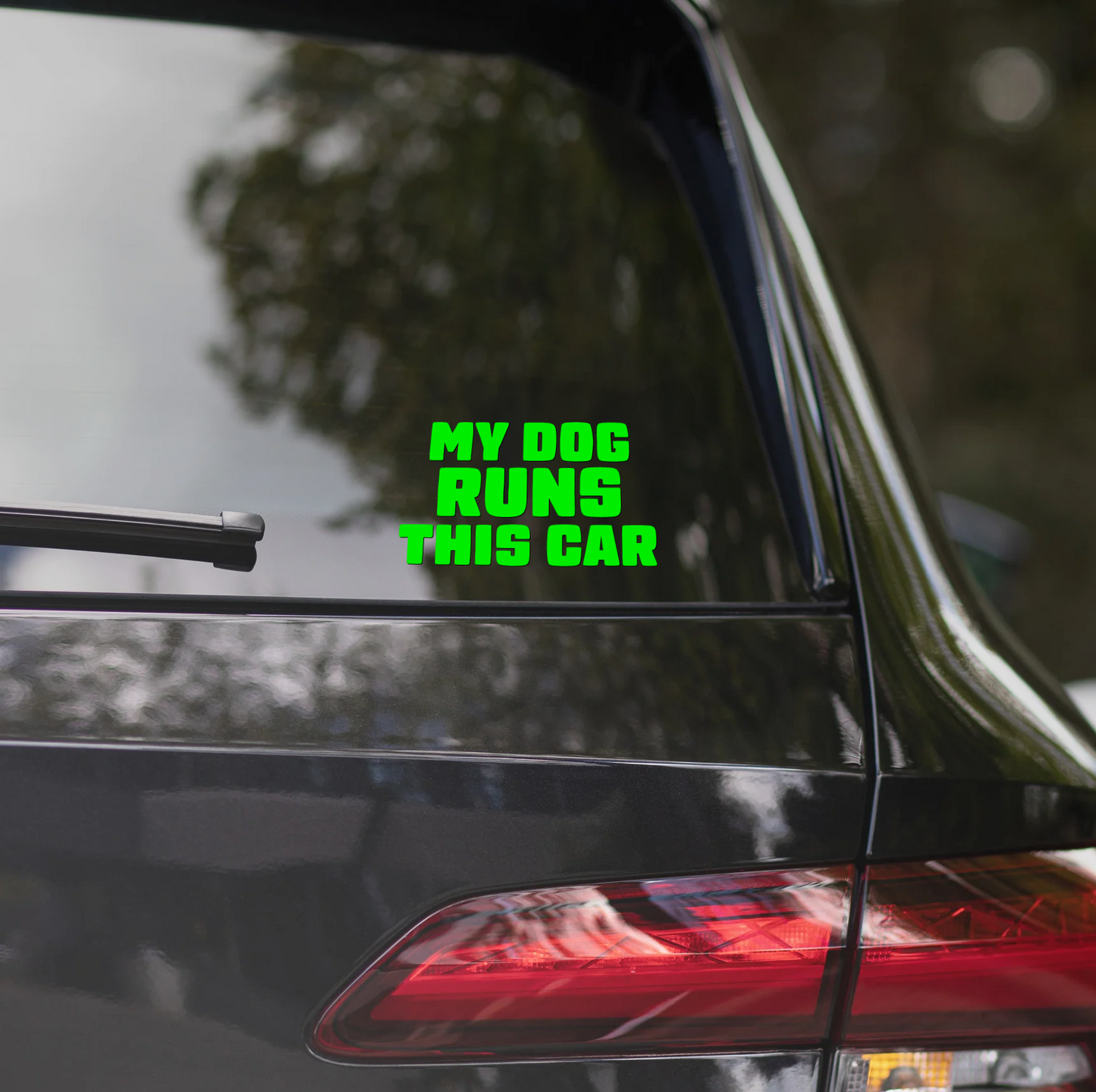 MY DOG RUNS THIS CAR