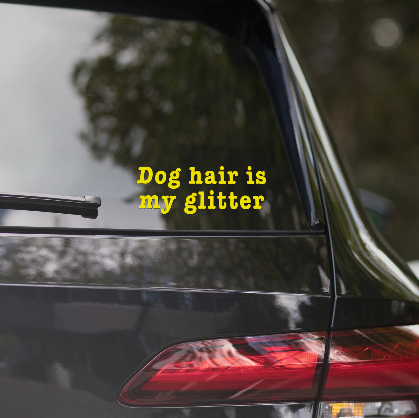 DOG HAIR IS MY GLITTER