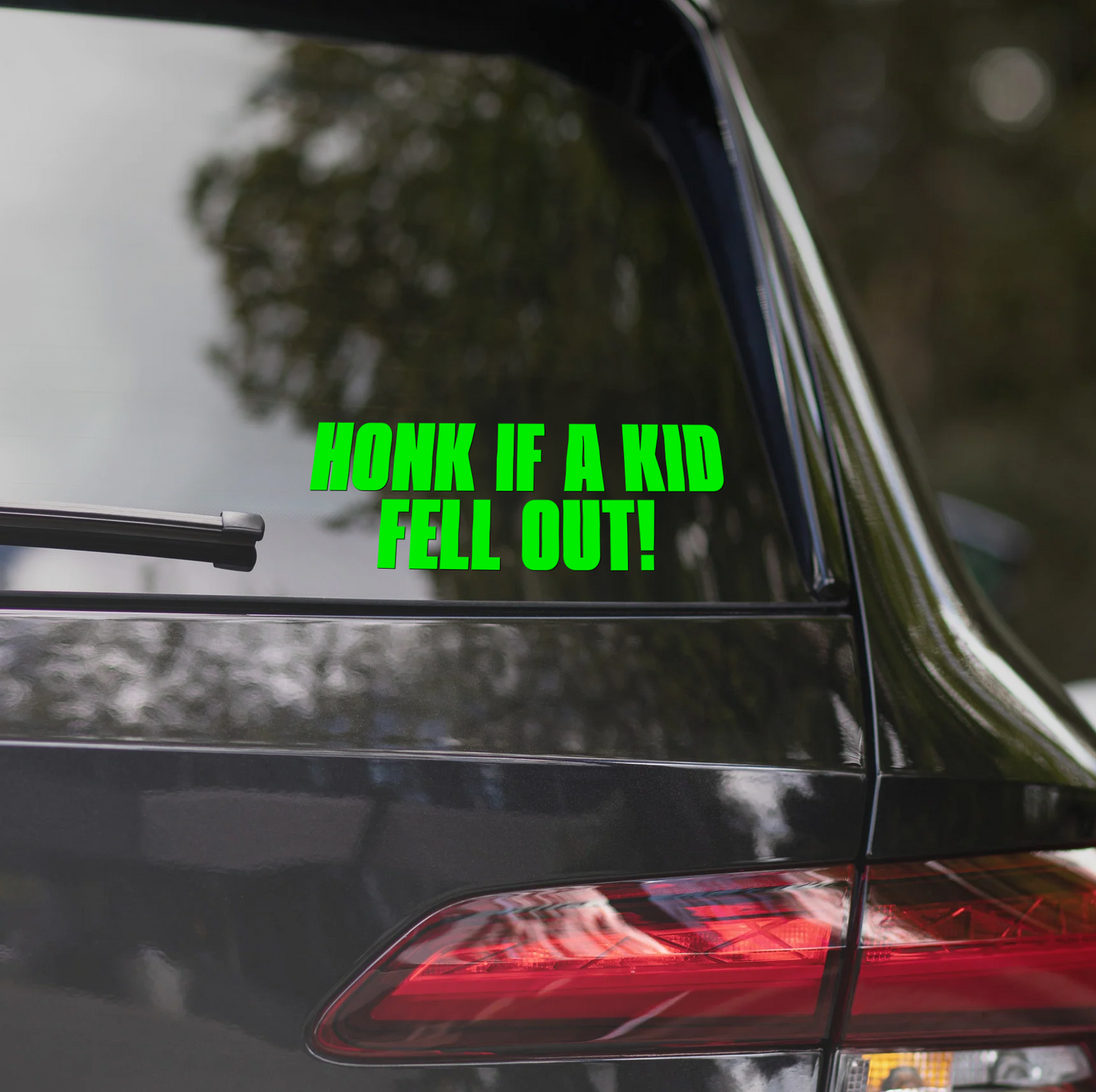 HONK IF A KID FELL OUT