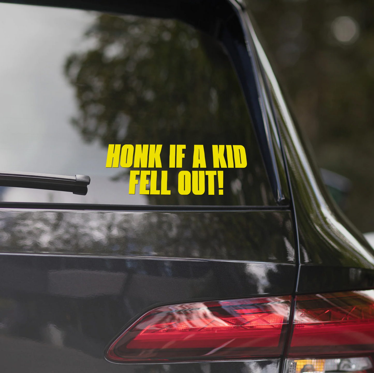 HONK IF A KID FELL OUT