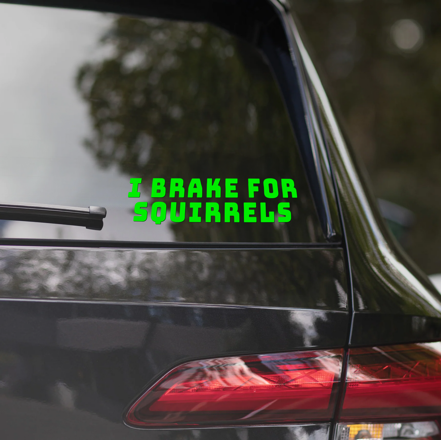 I BRAKE FOR SQUIRRELS