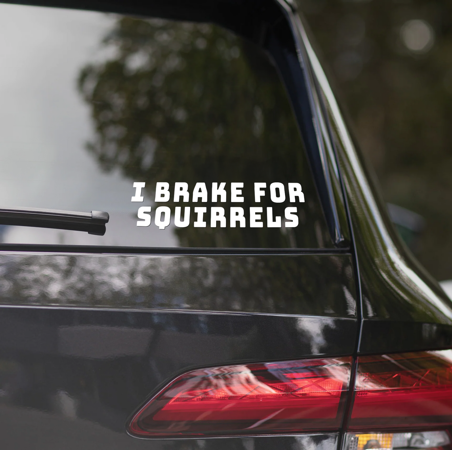 I BRAKE FOR SQUIRRELS