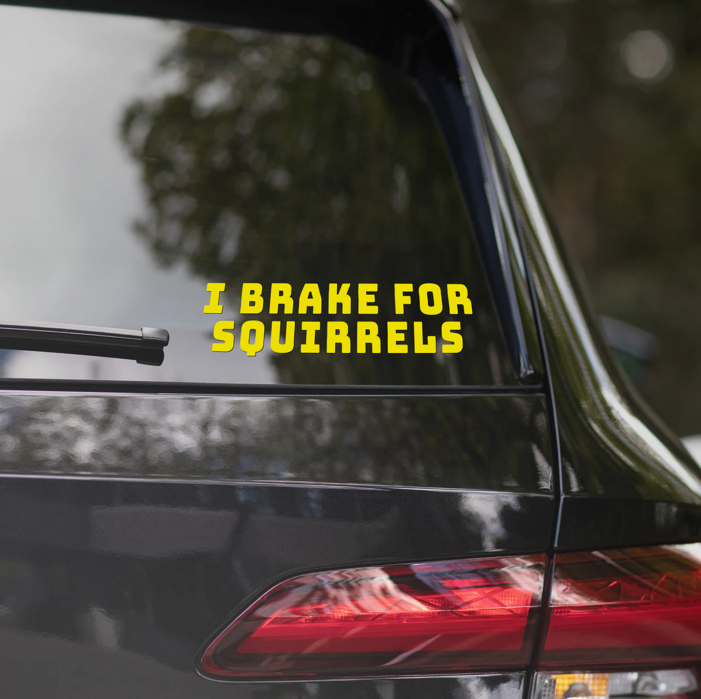 I BRAKE FOR SQUIRRELS
