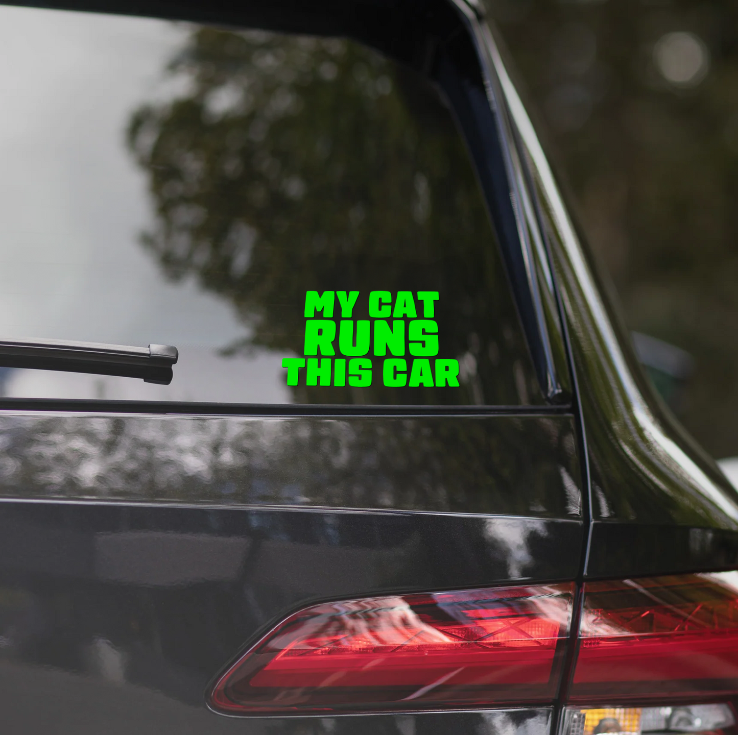 MY CAT RUNS THIS CAR