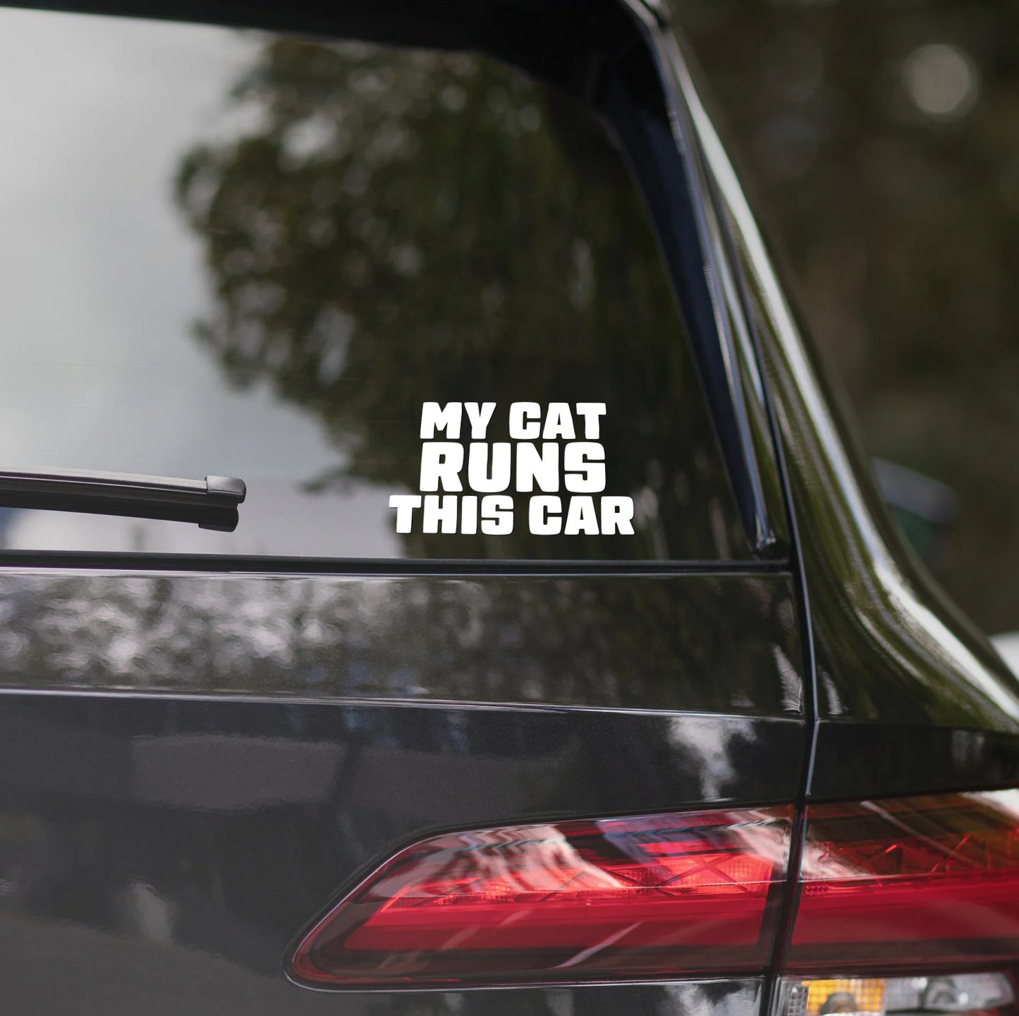 MY CAT RUNS THIS CAR