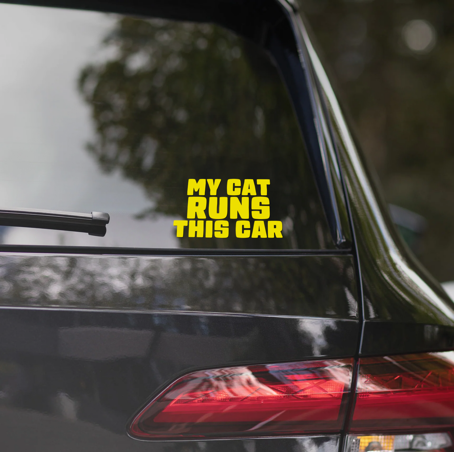 MY CAT RUNS THIS CAR