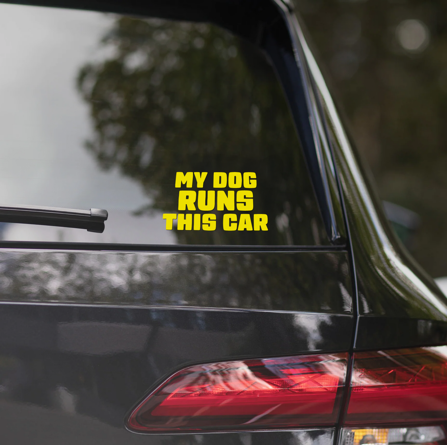 MY DOG RUNS THIS CAR