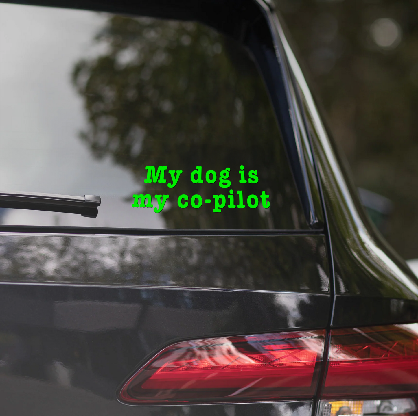 MY DOG IS MY CO-PILOT