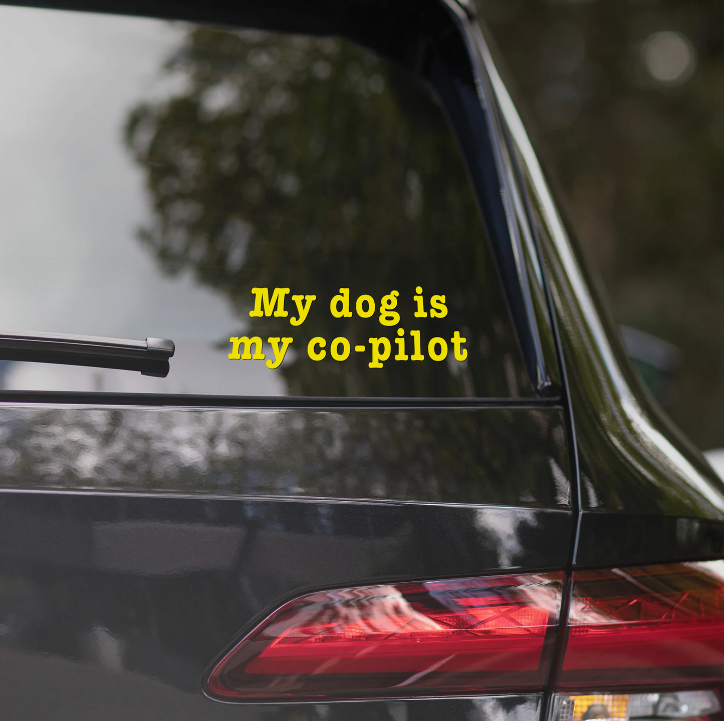 MY DOG IS MY CO-PILOT