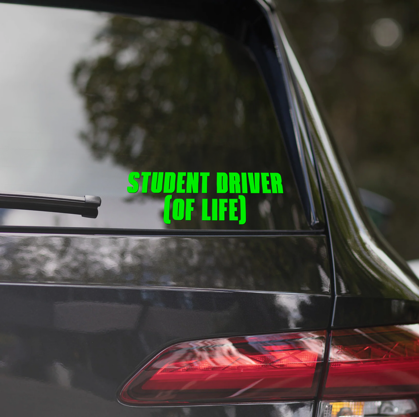 STUDENT DRIVER (OF LIFE)