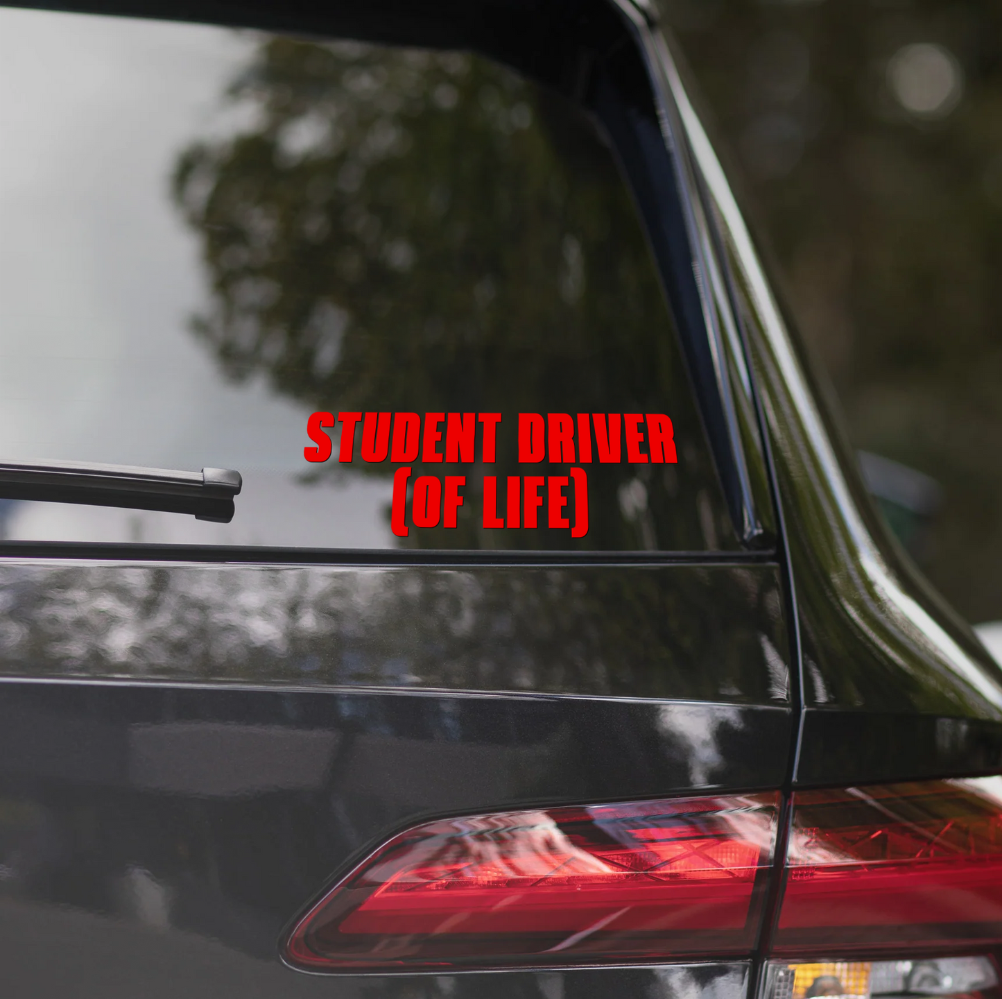 STUDENT DRIVER (OF LIFE)