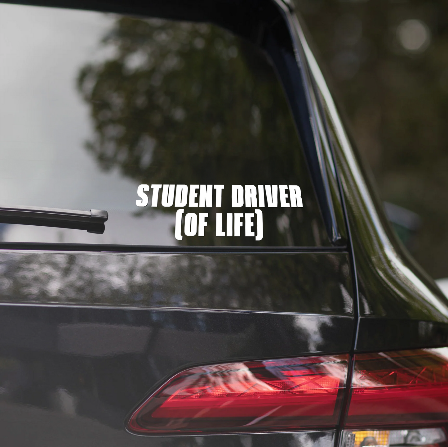STUDENT DRIVER (OF LIFE)