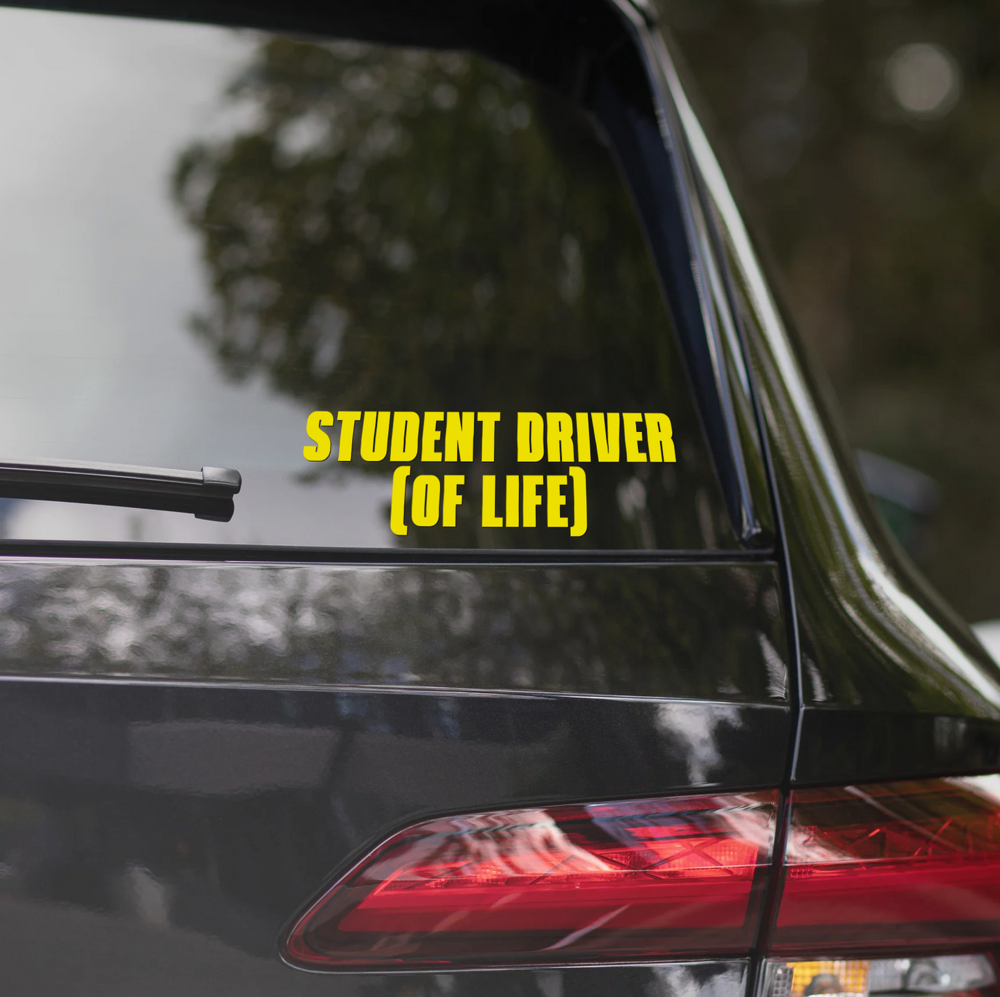 STUDENT DRIVER (OF LIFE)